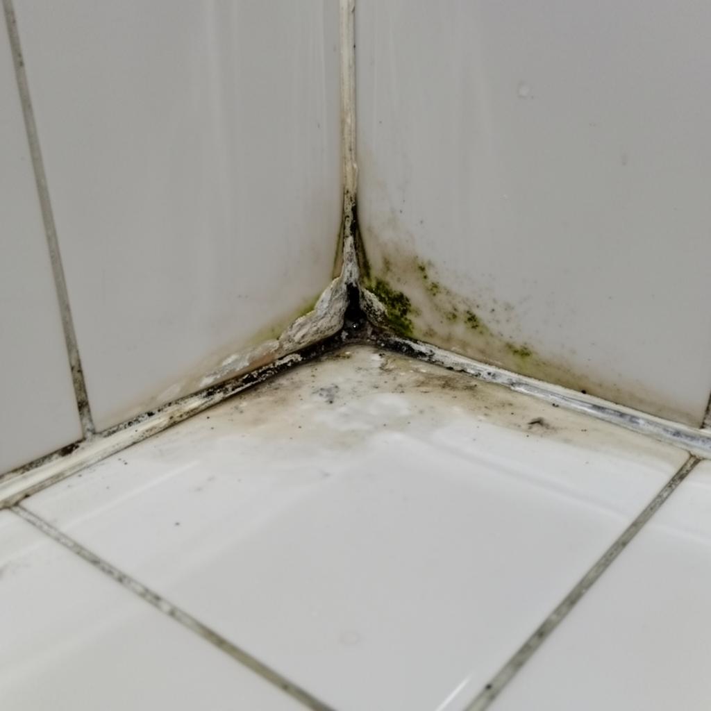 Kamar Mandi Rembes · Jakarta Selatan